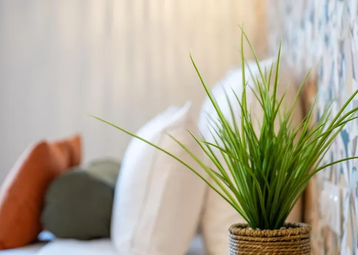 Apartamento 67 Victor Hugo Cognac